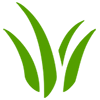 lawnicone